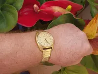 IMGP3807.webp