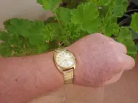 IMGP3811.webp