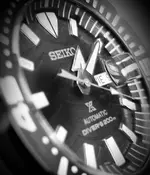 20201009_131332.webp