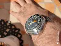 16029361834486527166641791333222.webp