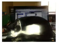 Captura.webp