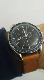 Speedy 145012.webp
