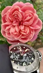D67D25B6-E5E2-4018-92F1-BB8C692423F1.webp
