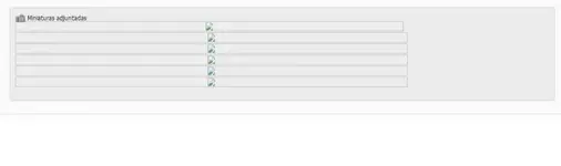 problemaminiatura.webp