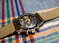 IMG_20201105_074400.webp
