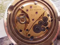IMGP3952.webp