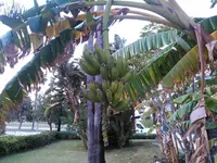 KIMG0216.webp