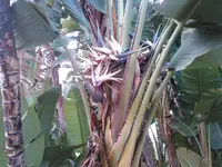 KIMG0217.webp