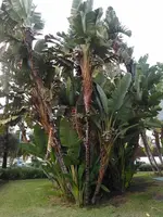 KIMG0218.webp