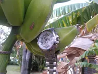 KIMG0230.webp