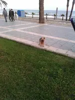 KIMG0234.webp