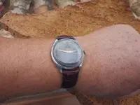 IMGP3972.webp