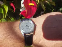 IMGP3906.webp