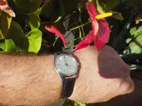 IMGP3908.webp