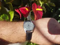 IMGP3909.webp