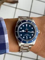 Tudor Blue.webp