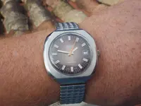 IMGP3979.webp