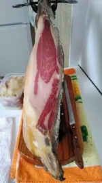 paleta.webp