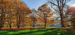 20201107_142855.webp