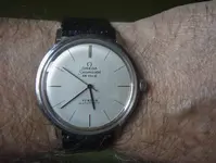 P1130371.webp
