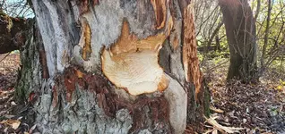 20201114_130721.webp