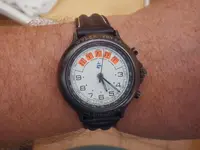 IMGP4121.webp