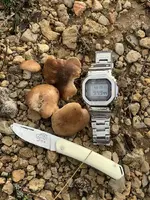 032E321C-5EBD-472D-9054-8032016BAC7A.webp