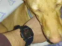 IMG_20201130_090914.webp