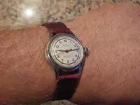 IMGP4282.webp