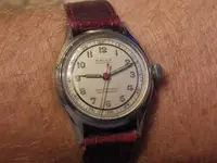 IMGP4277.webp