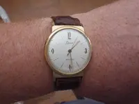 IMGP4220.webp