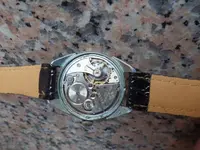 IMGP4348.webp