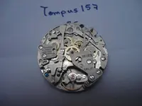11 Heuer - Leonidas.webp