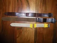 IMGP1033.webp