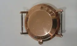 IMAG1993.webp