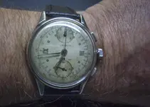 P1130528.webp