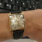 16076788873095368494418742666799.webp