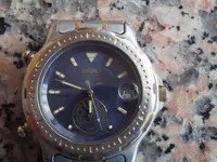IMGP4320.webp
