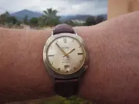 IMGP4240.webp
