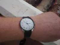 IMGP4360.webp