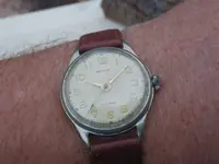 IMGP4256.webp