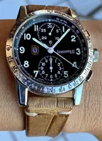 TazioNuvolari.webp