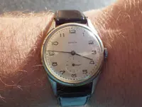 IMGP4382.webp