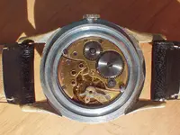 IMGP4384.webp