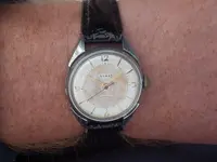 IMGP4329.webp