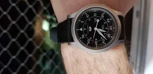 16082698858425589503763815766787.webp