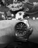 20201225_124552.webp