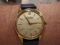 IMGP4375.webp