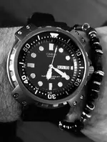 753E95B2-70F5-459F-84C4-5320124D6AD8.webp