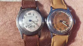IMGP4426.webp